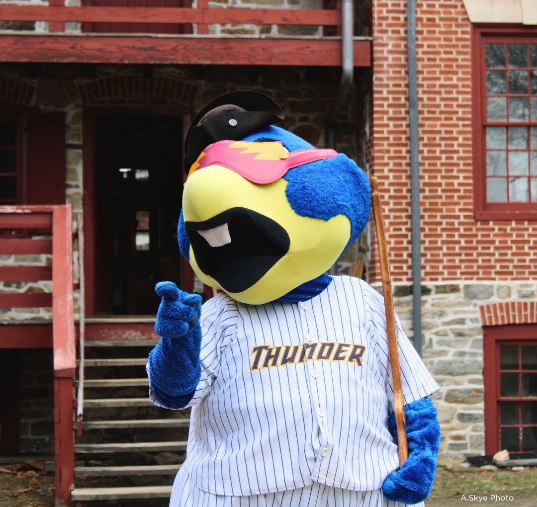 Swing Big at Barracks Baseball Night at Trenton Thunder Ballpark